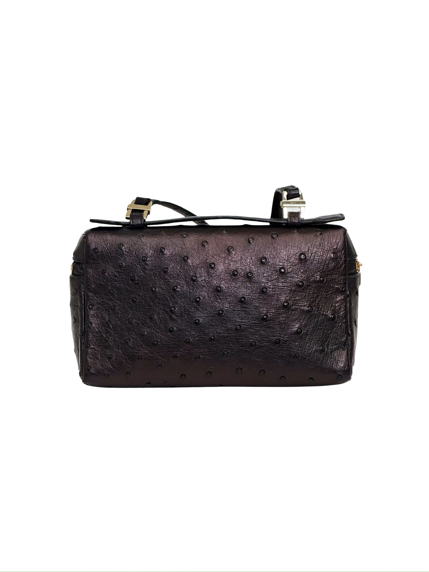 Loro Piana Extra Pocket L19 Crossbody Bag Ostrich Leather
