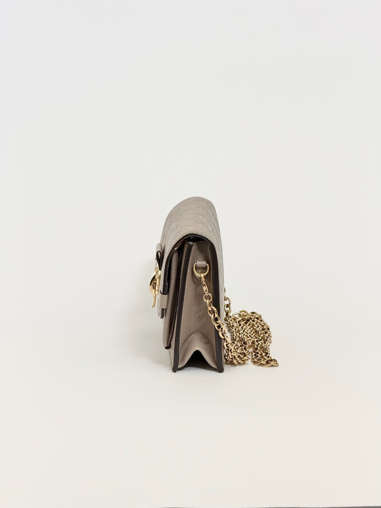 Louis Vuitton  Vavin Chain Wallet