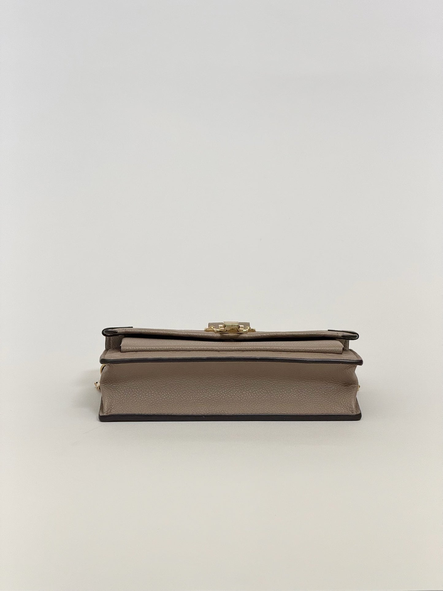 Louis Vuitton  Vavin Chain Wallet