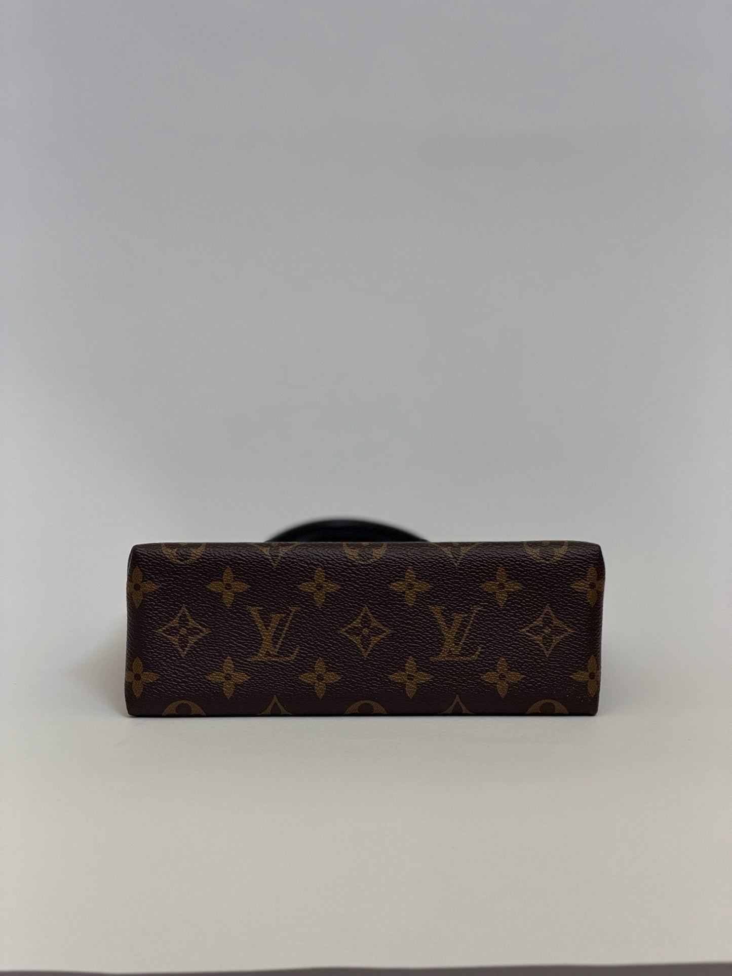 Louis Vuitton Locky Handbag Monogram Canva